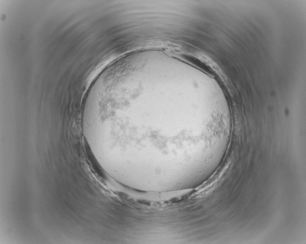 X0000061741097200512302205