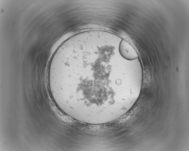 X0000061741098200512302205