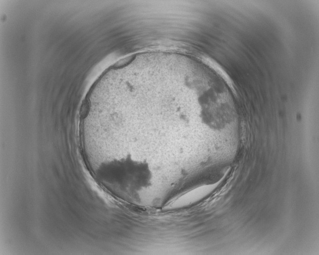 X0000061741099200512302205