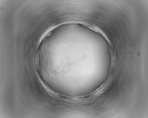 X0000061741101200512302205