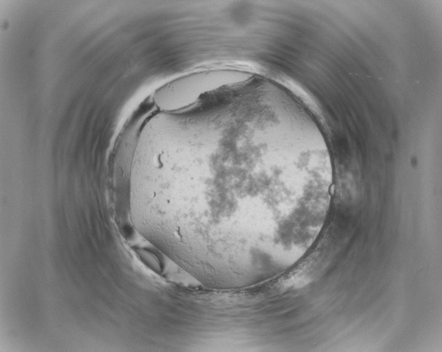 X0000061741102200512302205