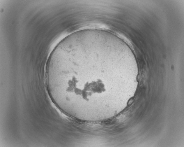 X0000061741103200512302205