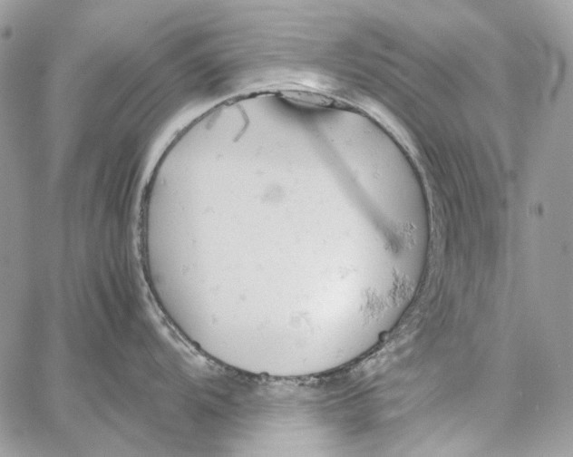 X0000061741104200512302205