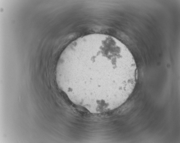 X0000061741105200512302204