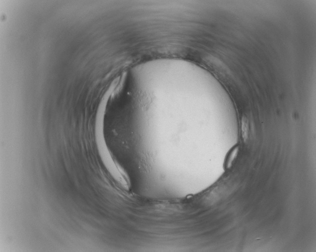 X0000061741107200512302204