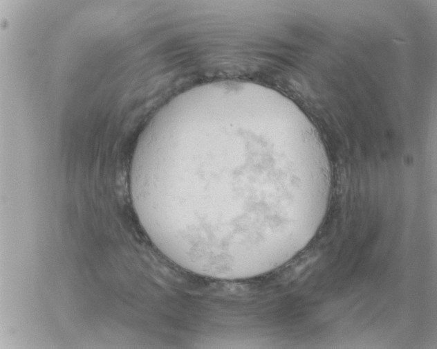 X0000061741109200512302204