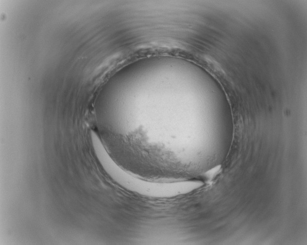 X0000061741110200512302204