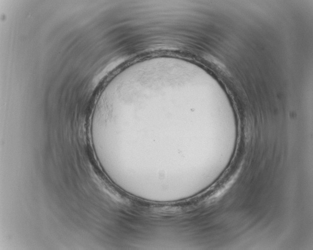 X0000061741113200512302204