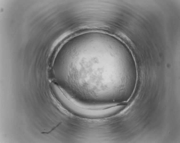 X0000061741114200512302204