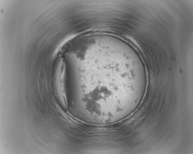 X0000061741115200512302204