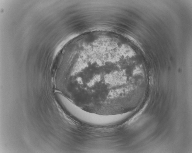 X0000061741117200512302204