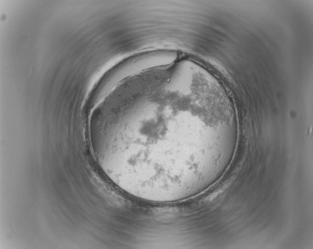 X0000061741118200512302204