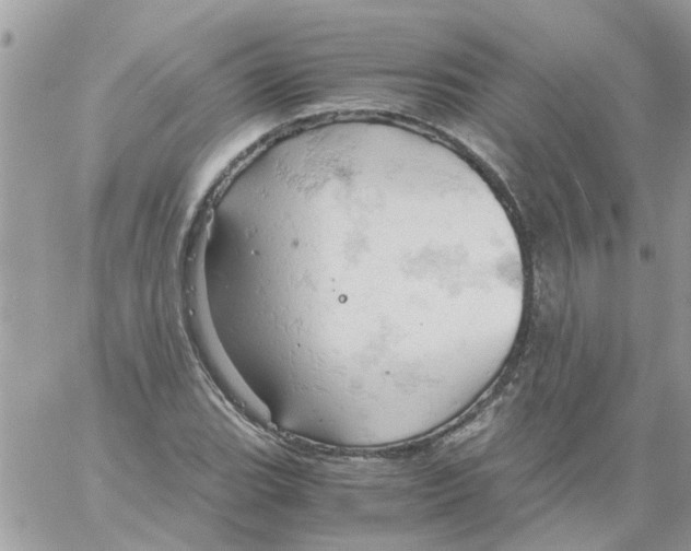 X0000061741119200512302204