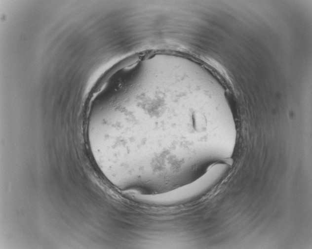 X0000061741120200512302204