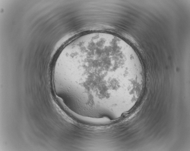 X0000061741122200512302204