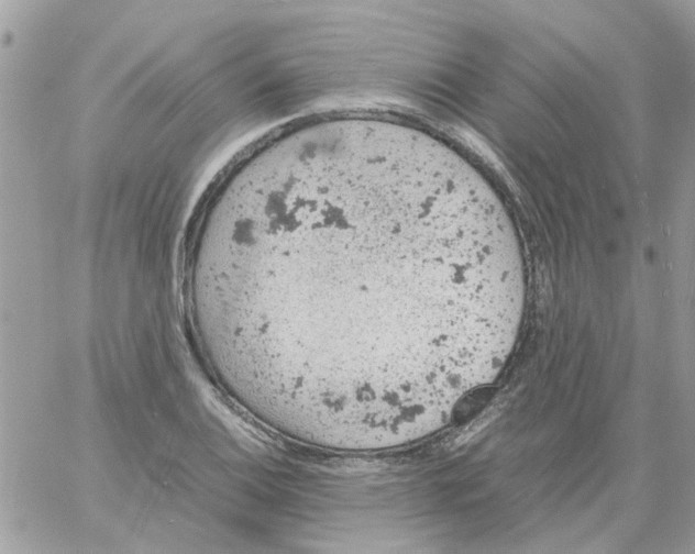 X0000061741124200512302204