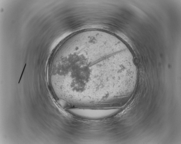 X0000061741127200512302204