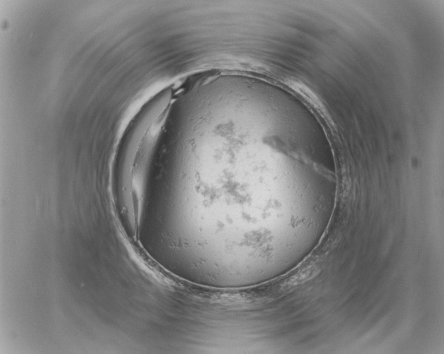 X0000061741128200512302204