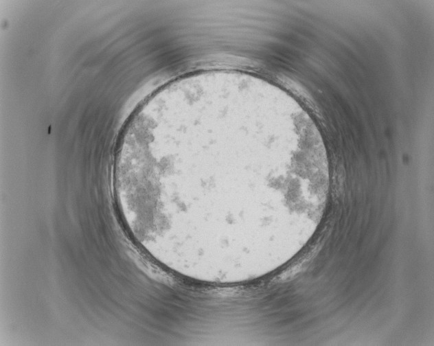 X0000061741130200512302204