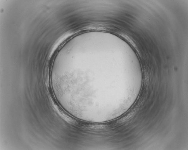 X0000061741131200512302205