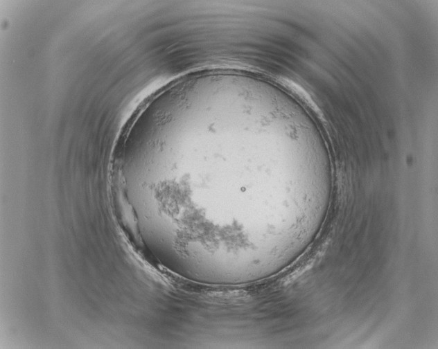 X0000061741133200512302205