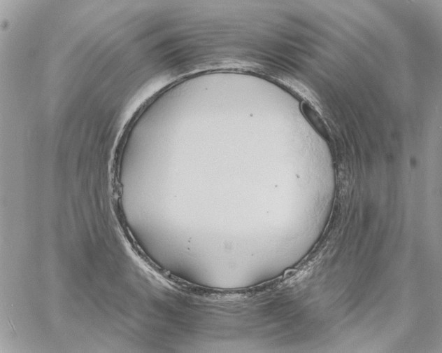 X0000061741135200512302205