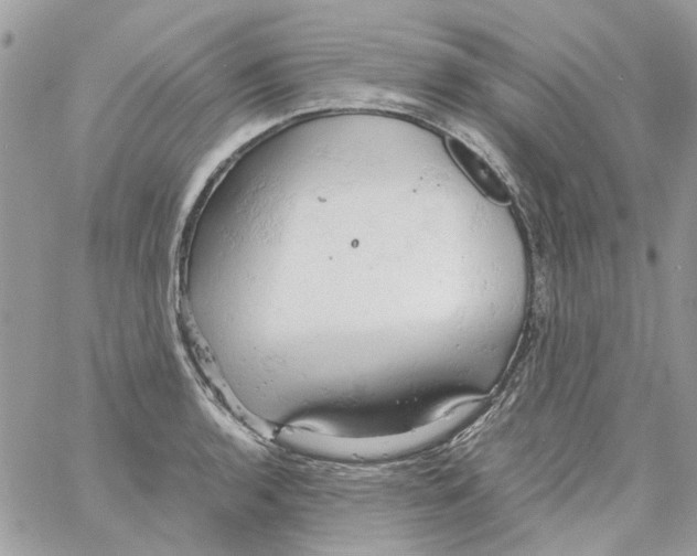 X0000061741136200512302205