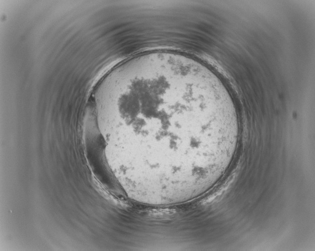 X0000061741137200512302205