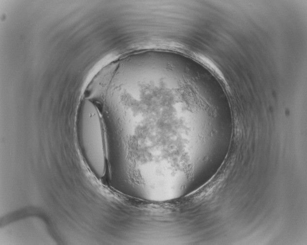 X0000061741138200512302205