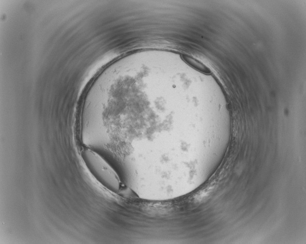 X0000061741139200512302205