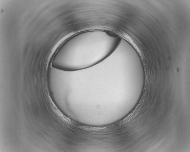 X0000061741140200512302205