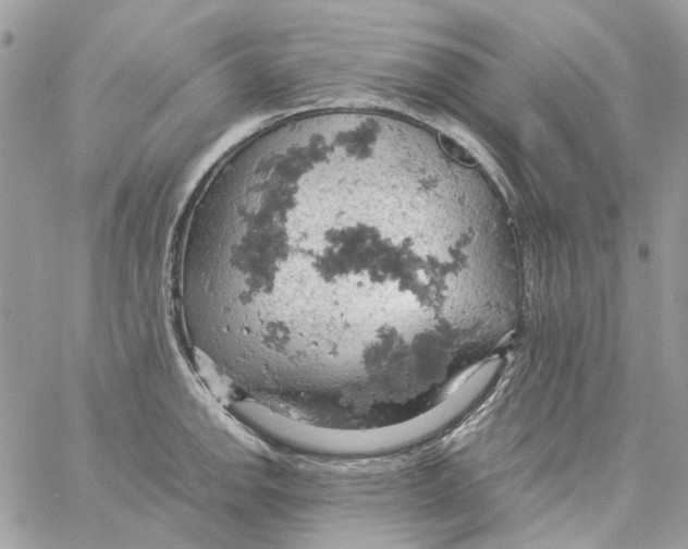 X0000061741142200512302205