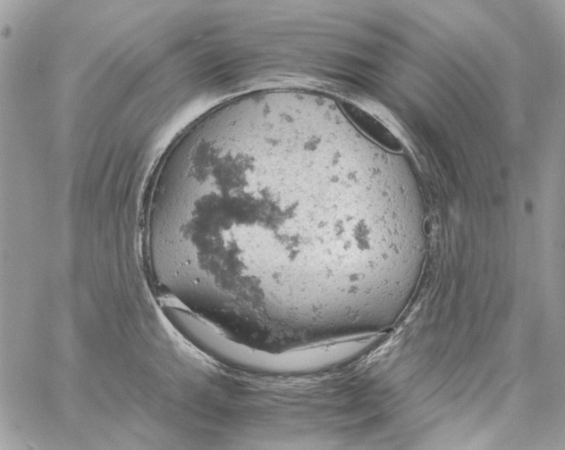 X0000061741143200512302205