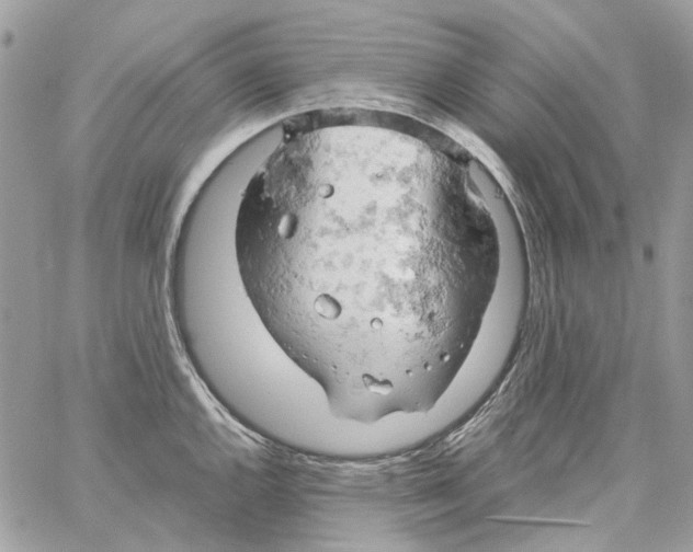 X0000061741144200512302205