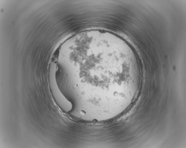 X0000061741145200512302205