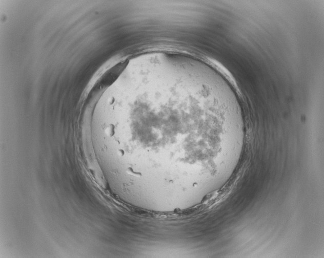 X0000061741146200512302205