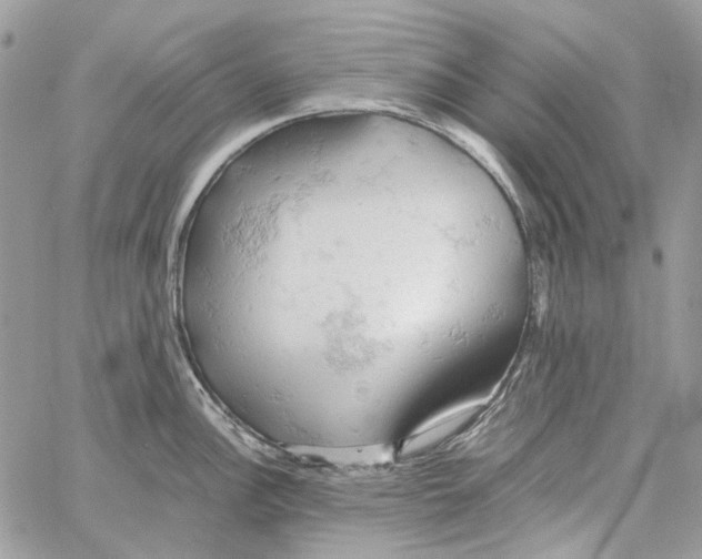 X0000061741148200512302205