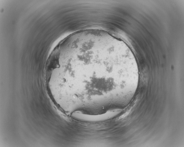 X0000061741149200512302205