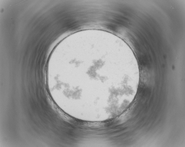 X0000061741150200512302205