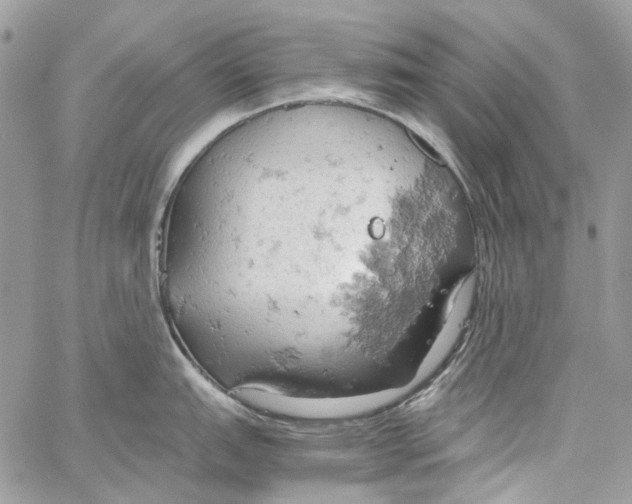 X0000061741151200512302205