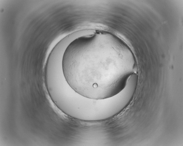 X0000061741152200512302205