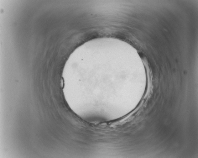 X0000061741153200512302204