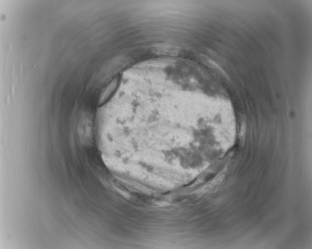 X0000061741154200512302204