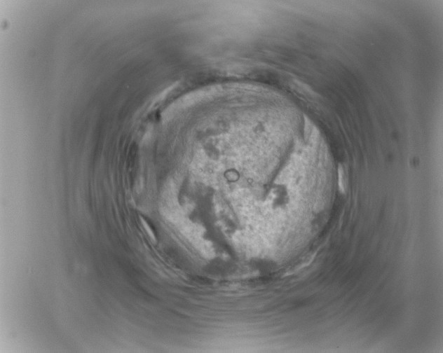 X0000061741155200512302204