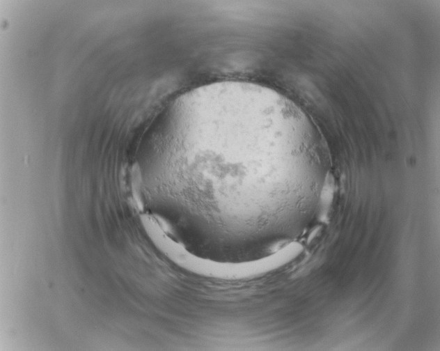 X0000061741156200512302204