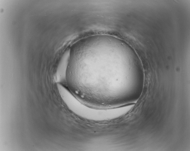 X0000061741157200512302204