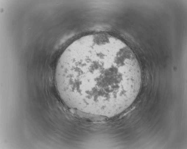 X0000061741158200512302204