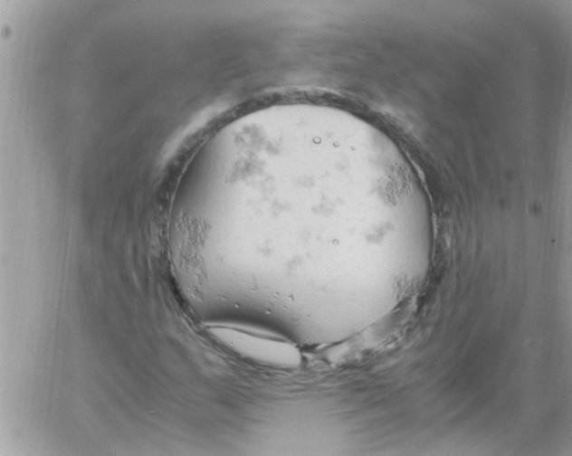 X0000061741159200512302204