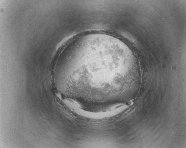 X0000061741160200512302204