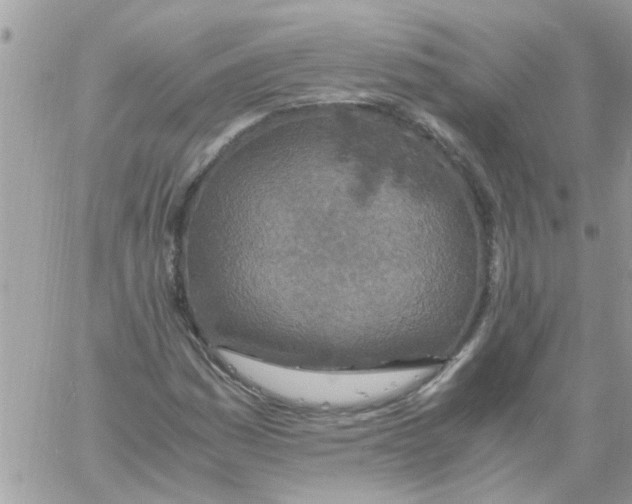 X0000061741161200512302204